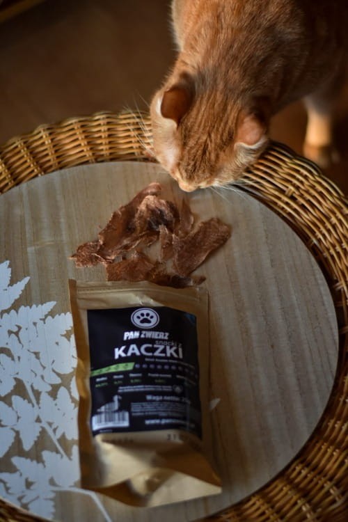 Naturalne smaczki z kaczki dla psa i kota 25 g - zdjęcie z kotem